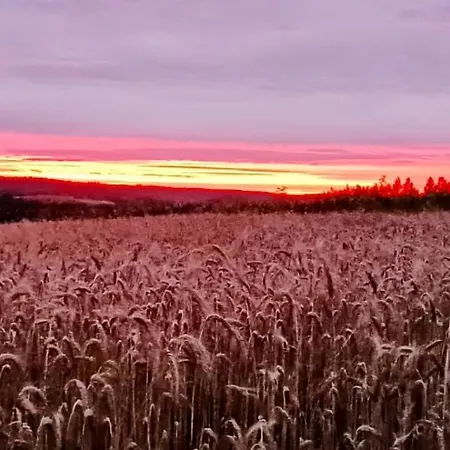 Stodola Rzym - Domek, Jacuzzi, Sauna, Jezioro, Villa Kozyczkowo